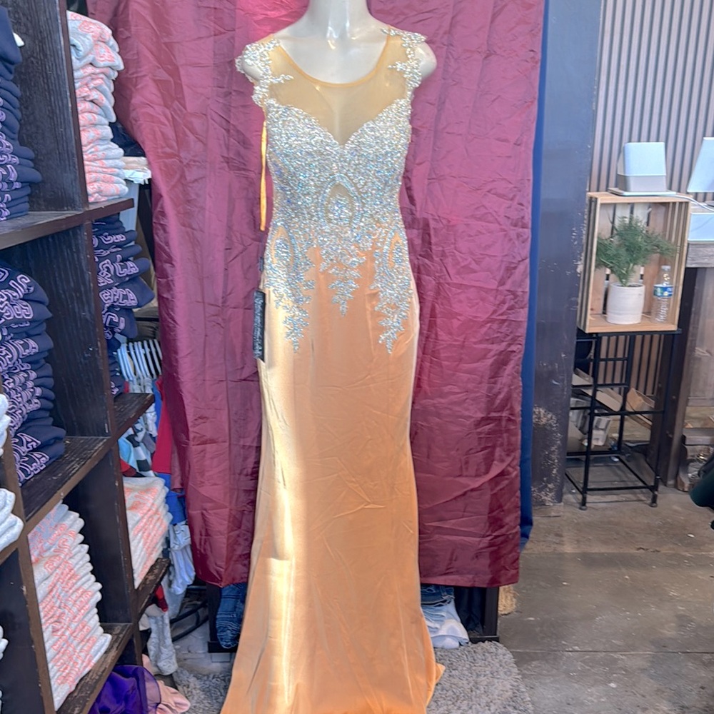 Elegant Orange Evening Gown